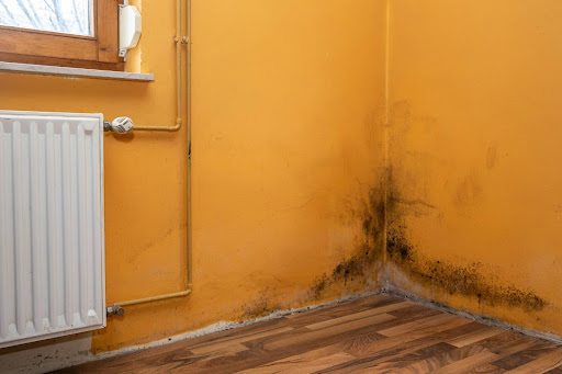 Read more about the article What Causes Poor Air Quality in Your Home?